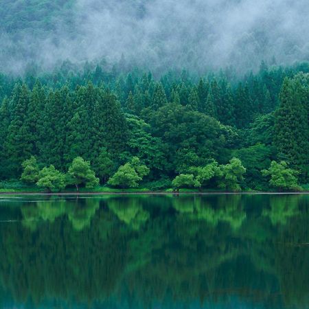 Hokuryuko Hotel North Nagano Нодзаваонсен Экстерьер фото